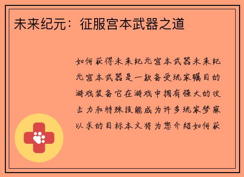 未来纪元：征服宫本武器之道